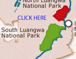 south luangwa